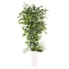 6ft. Artificial Ficus Microcarpa Tree In White Decorative Pot -Michaels Shop D763735S 1