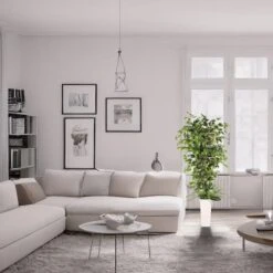 6ft. Artificial Ficus Microcarpa Tree In White Decorative Pot -Michaels Shop D763735S 3