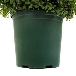 3.5ft. Pre-Lit Boxwood Spiral Topiary 13 3.5ft. Pre-Lit Boxwood Spiral Topiary -Michaels Shop D766092S 4