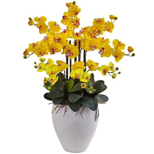 3ft. Moth Orchid Arrangement In White Planter Yellow 4 3ft. Moth Orchid Arrangement In White Planter Yellow - Image 2
