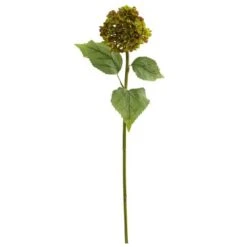 Hydrangea Stem, 4ct. Green -Michaels Shop M20018814 1